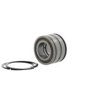 INA Zylinderrollenlager, SL045026-D-PP-2NR-C3