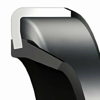Radialwellendichtring, DIN 3760, BOF, 10,00 x 17,00 x...
